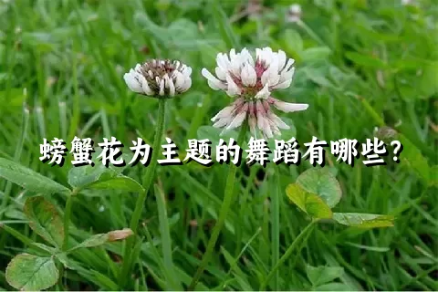 螃蟹花为主题的舞蹈有哪些？