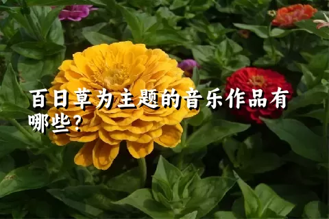 百日草为主题的音乐作品有哪些？