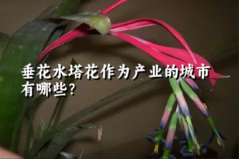 垂花水塔花作为产业的城市有哪些？