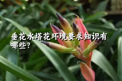 垂花水塔花环境要求知识有哪些？