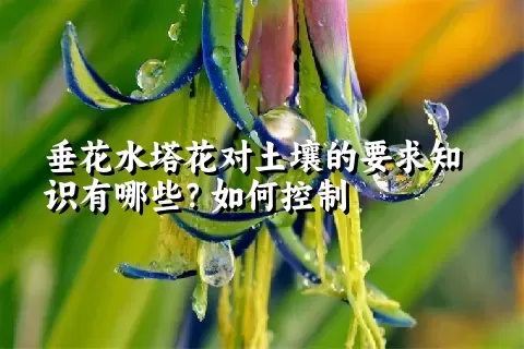 垂花水塔花对土壤的要求知识有哪些？如何控制