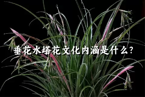 垂花水塔花文化内涵是什么？