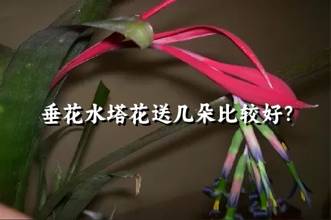 垂花水塔花送几朵比较好？