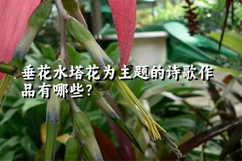 垂花水塔花为主题的诗歌作品有哪些？