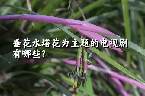 垂花水塔花为主题的电视剧有哪些？