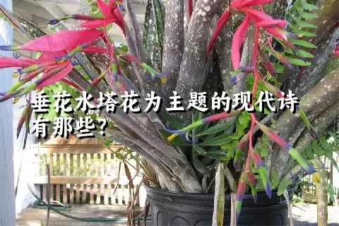 垂花水塔花为主题的现代诗有那些？