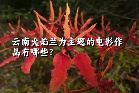 云南火焰兰为主题的电影作品有哪些？