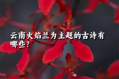 云南火焰兰为主题的古诗有哪些？