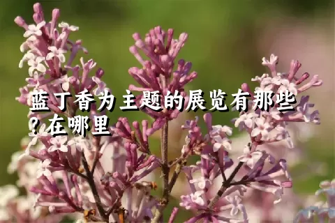 蓝丁香为主题的展览有那些？在哪里