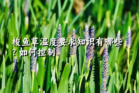 梭鱼草温度要求知识有哪些？如何控制