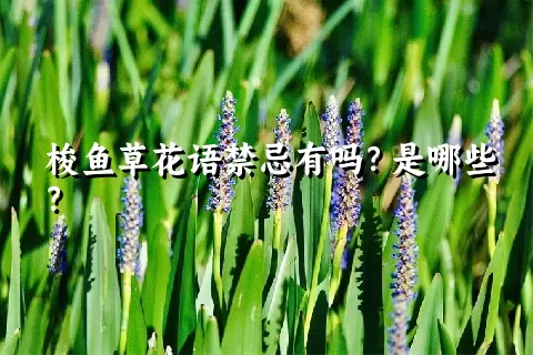 梭鱼草花语禁忌有吗？是哪些？