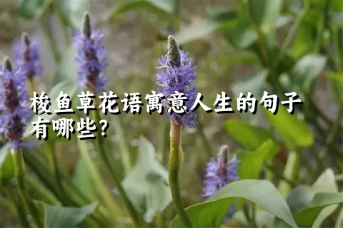 梭鱼草花语寓意人生的句子有哪些？