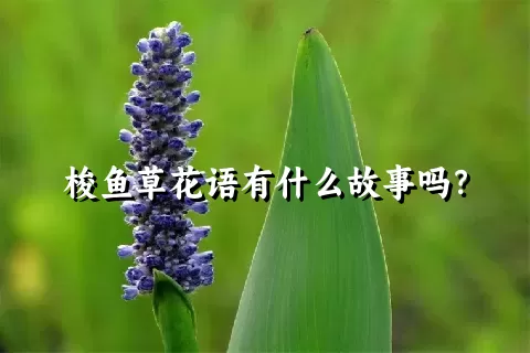 梭鱼草花语有什么故事吗？