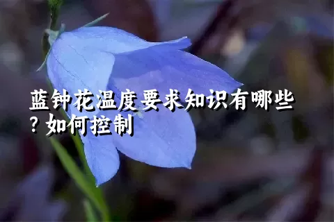 蓝钟花温度要求知识有哪些？如何控制