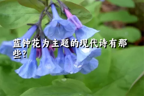 蓝钟花为主题的现代诗有那些？