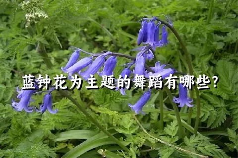 蓝钟花为主题的舞蹈有哪些？