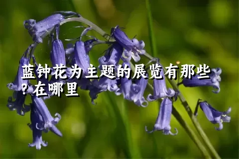 蓝钟花为主题的展览有那些？在哪里