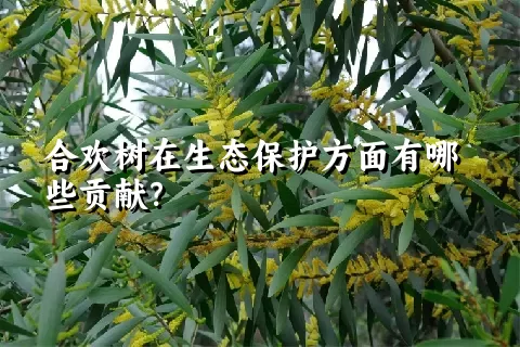 合欢树在生态保护方面有哪些贡献？