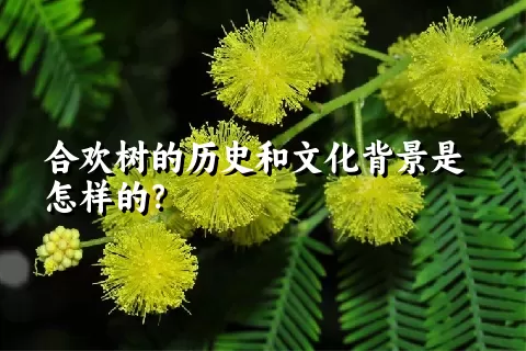 合欢树的历史和文化背景是怎样的？