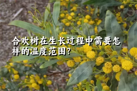 合欢树在生长过程中需要怎样的温度范围？