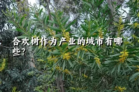 合欢树作为产业的城市有哪些？