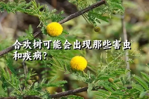 合欢树可能会出现那些害虫和疾病？