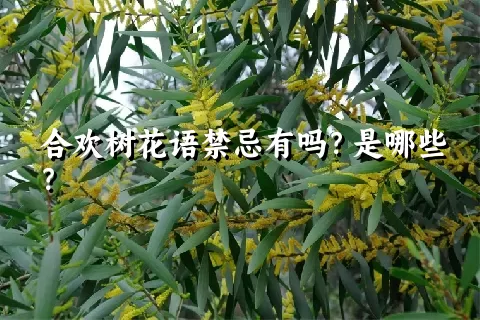 合欢树花语禁忌有吗？是哪些？