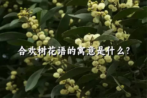 合欢树花语的寓意是什么？