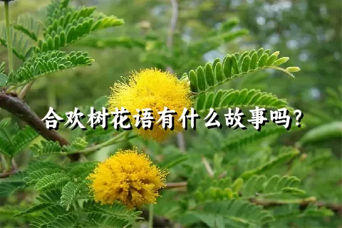 合欢树花语有什么故事吗？