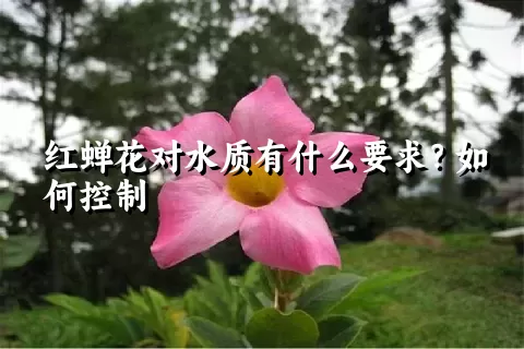 红蝉花对水质有什么要求？如何控制