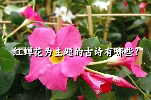 红蝉花为主题的古诗有哪些？