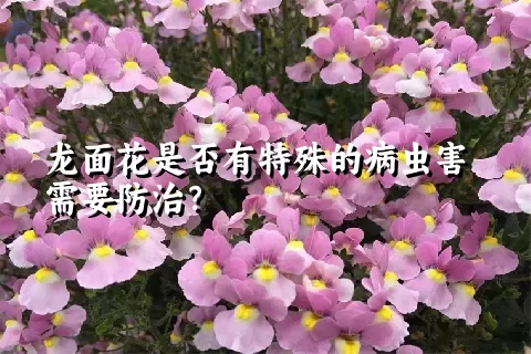 龙面花是否有特殊的病虫害需要防治？