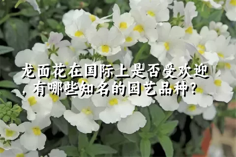 龙面花在国际上是否受欢迎，有哪些知名的园艺品种？