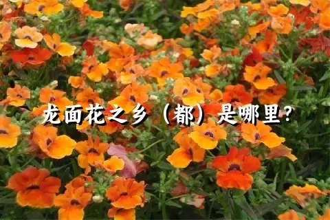 龙面花之乡（都）是哪里？