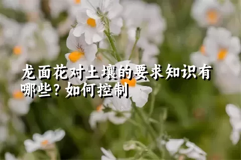 龙面花对土壤的要求知识有哪些？如何控制