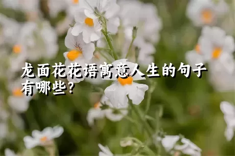 龙面花花语寓意人生的句子有哪些？