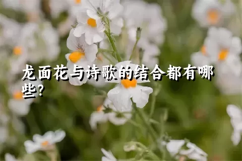 龙面花与诗歌的结合都有哪些？