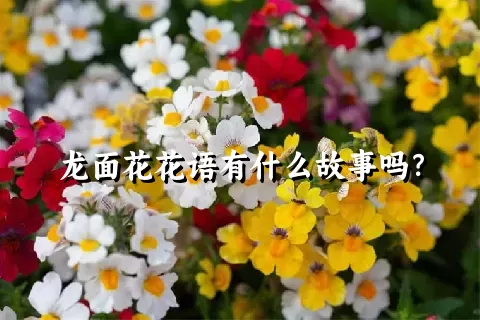 龙面花花语有什么故事吗？