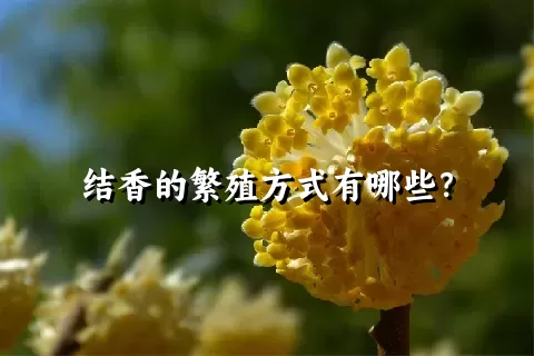 结香的繁殖方式有哪些？