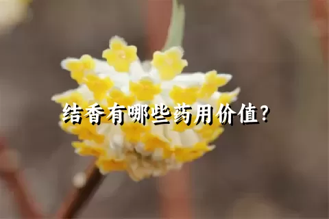 结香有哪些药用价值？