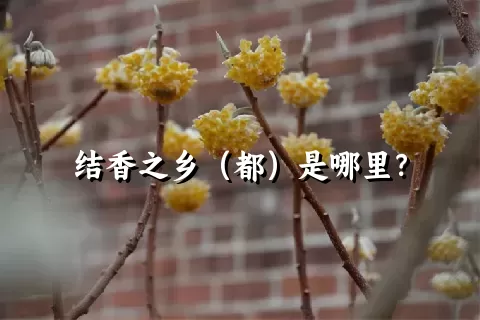 结香之乡（都）是哪里？