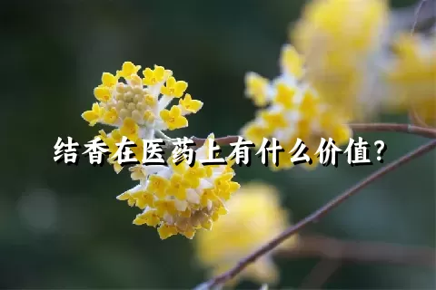 结香在医药上有什么价值？