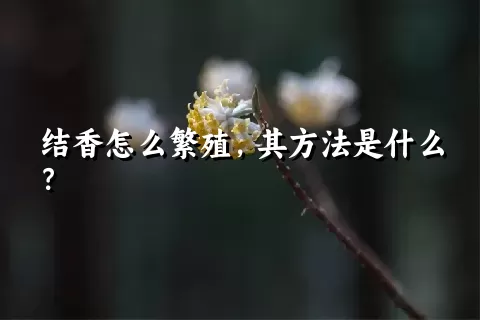 结香怎么繁殖，其方法是什么？