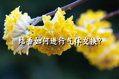 结香如何进行气体交换？