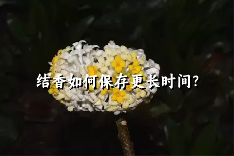 结香如何保存更长时间？