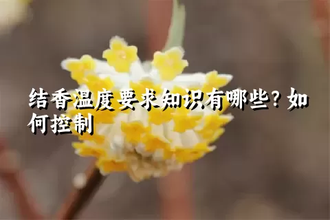 结香温度要求知识有哪些？如何控制