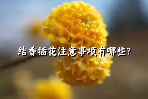 结香插花注意事项有哪些？