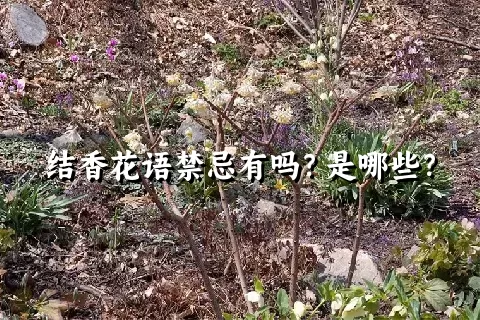 结香花语禁忌有吗？是哪些？