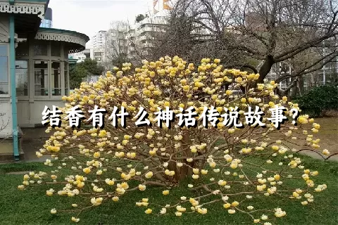 结香有什么神话传说故事？