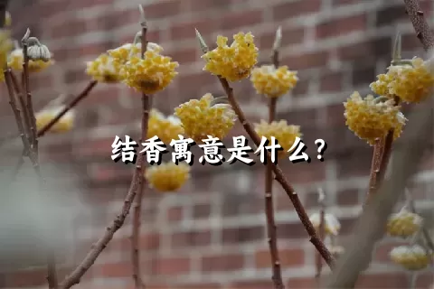 结香寓意是什么？